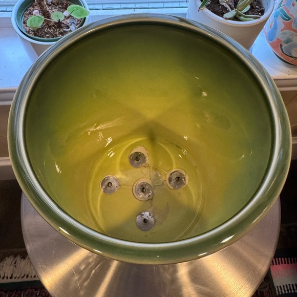 Diptyque Green Ceramic grand Figuier Scent Large Empty - Picture 4 of 6